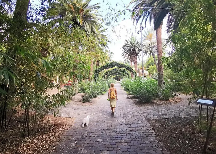 Home2book Sea Front Teresitas 5 Lejlighed San Andrés